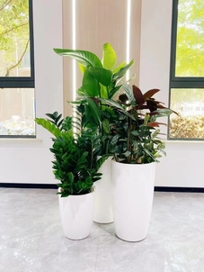 惊！宁波北仑绿化养护方案竟藏这些秘密